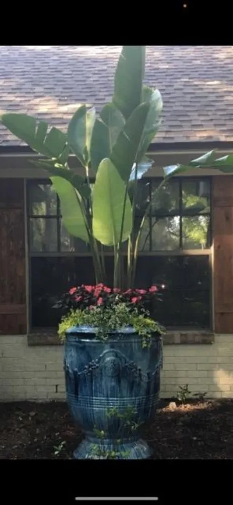 Trusted lawn mowing service experts serving Niceville, FL - ACH Landscaping