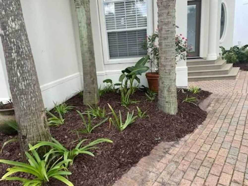 Top-rated yard cleanup service in Niceville, FL - ACH Landscaping