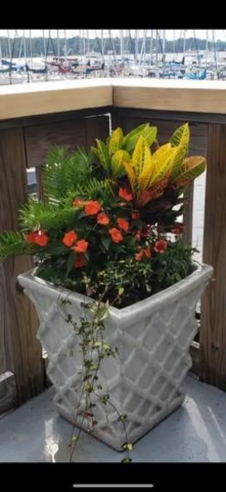 Top-rated landscaping services for beautiful yards across Niceville, FL - ACH Landscaping