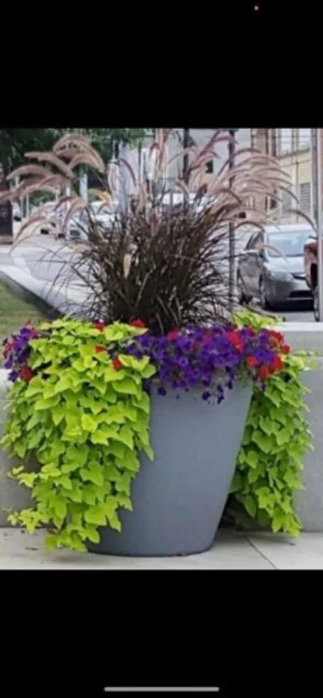 Local outdoor landscaping for year-round maintenance across Niceville, FL - ACH Landscaping