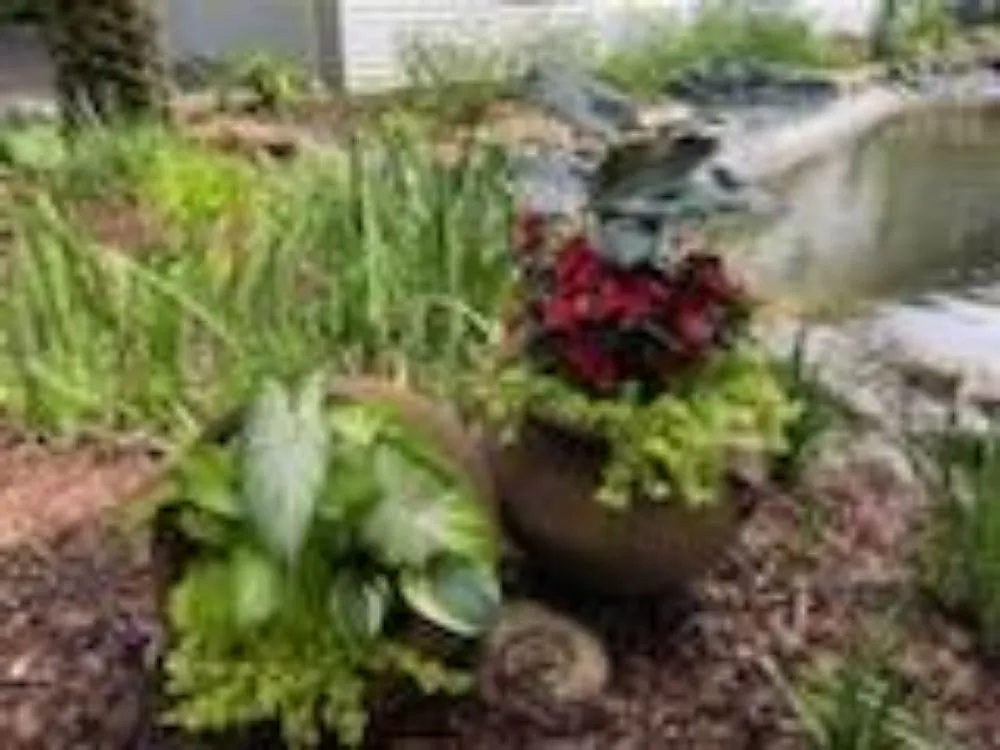 Custom landscaping services in Niceville, FL by ACH Landscaping