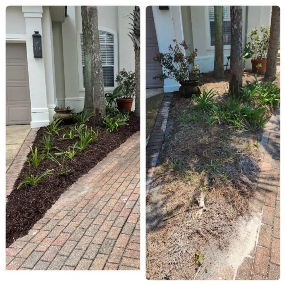 Affordable landscape installation in Niceville, FL by ACH Landscaping
