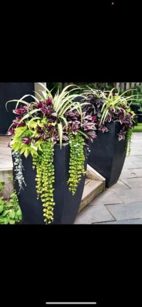 Reliable landscaping services in Niceville, FL by ACH Landscaping