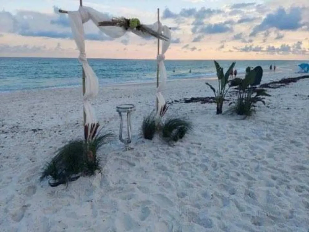 Affordable yard maintenance in Niceville, FL - ACH Landscaping