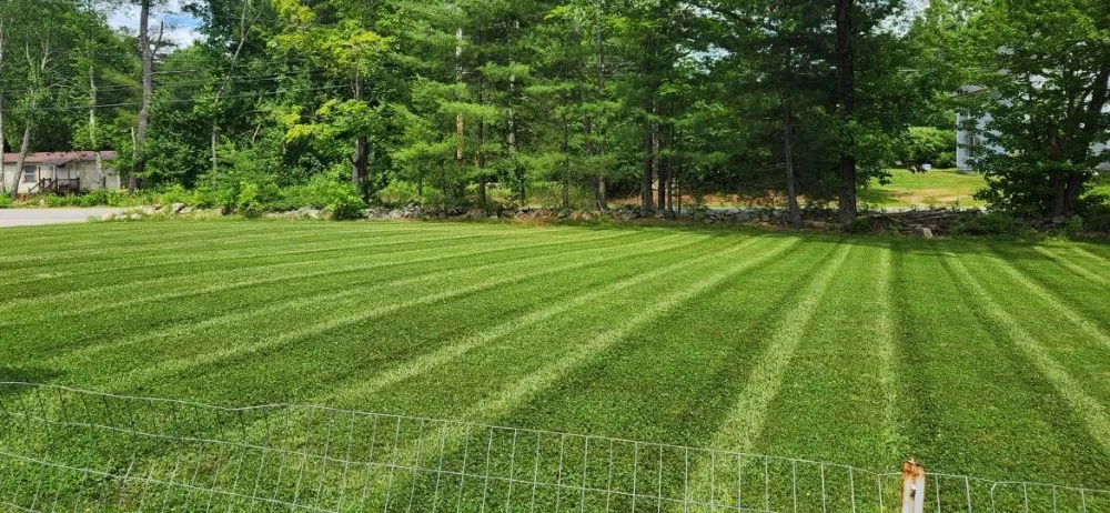 Top-rated yard maintenance in Chichester, NH - ACH Lawn Care Maintenance