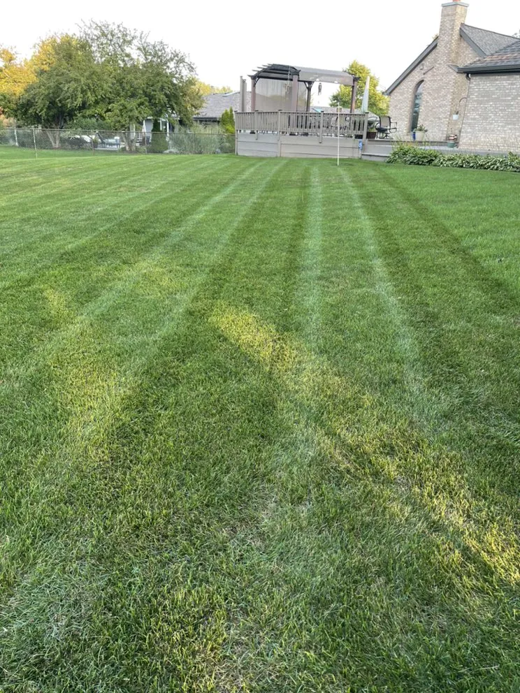 Trusted residential landscaping for beautiful yards in South Elgin, IL by ACH Lawn Care