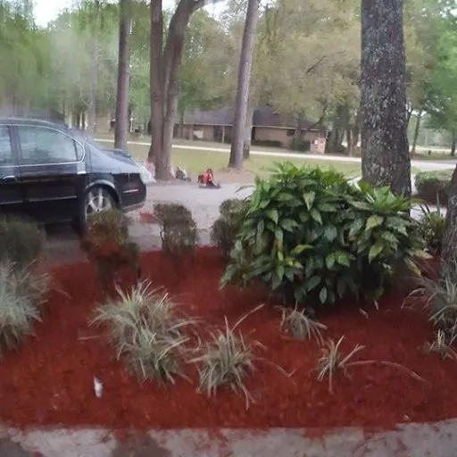 Trusted yard maintenance for year-round maintenance across Slidell, LA - ACH Lawn Services