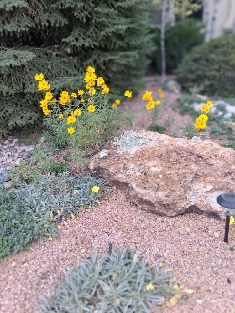 Custom lawn mowing service experts serving Pueblo, CO - Achieve Tuckers Services