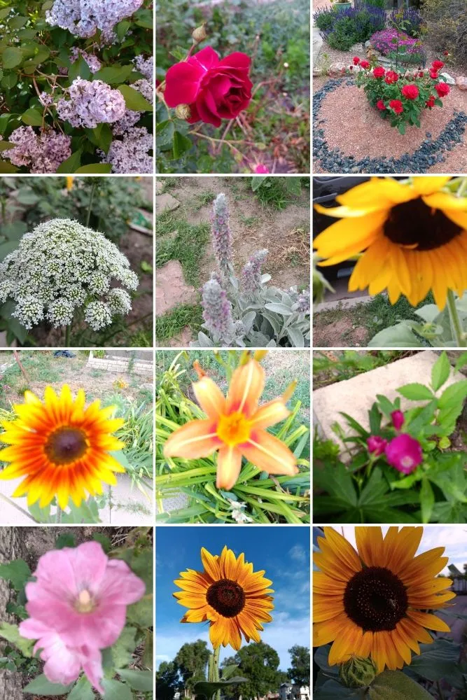 Trusted landscape installation for beautiful yards in Pueblo, CO by Achieve Tuckers Services