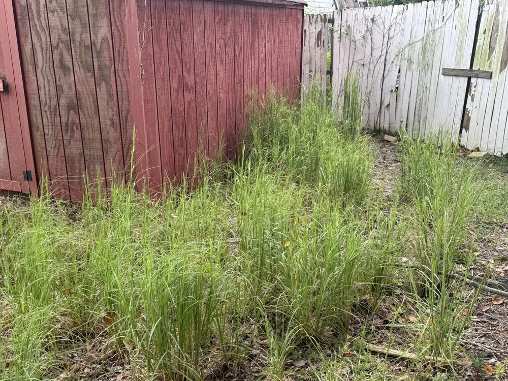 Custom landscape design experts serving Hampton, VA - Achilles Landscaping