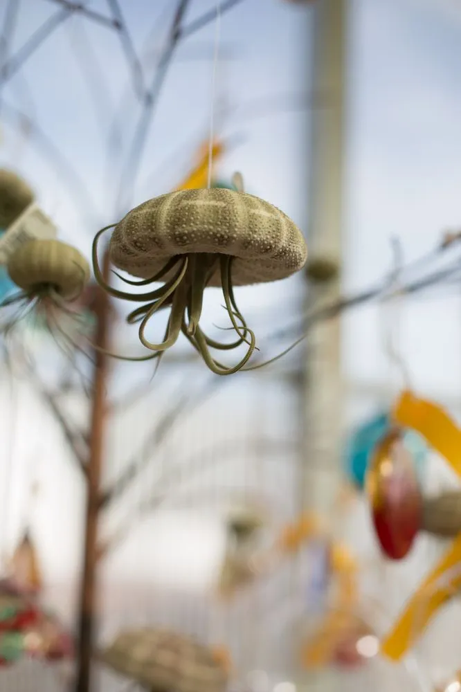 Custom outdoor landscaping in Pottstown, PA - Achin' Back Garden Center