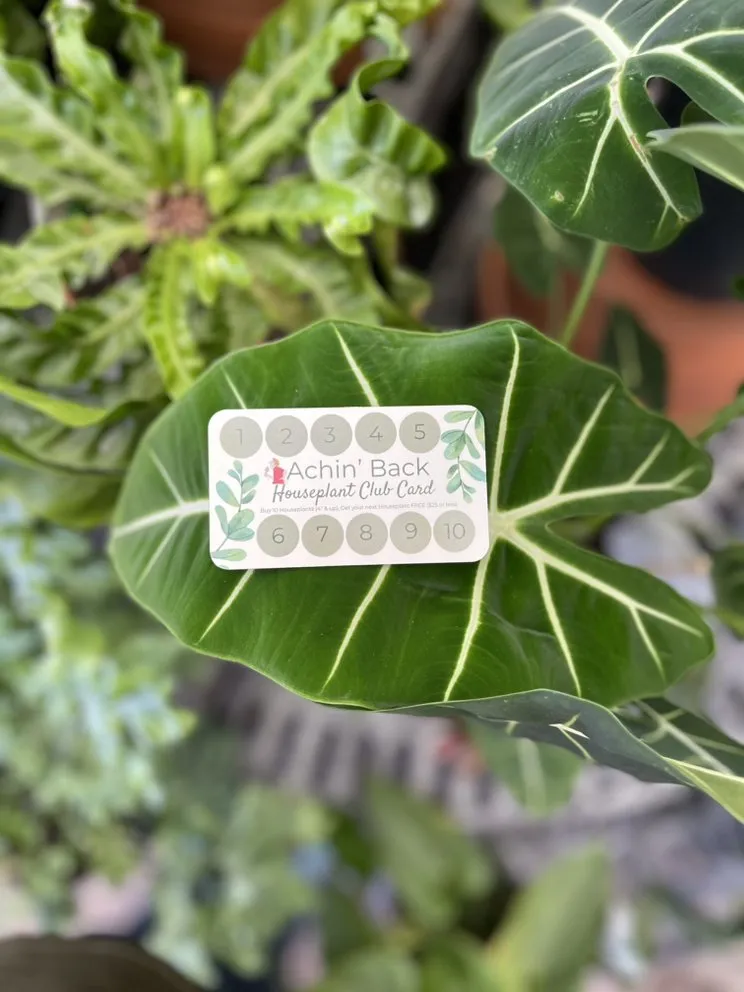 Custom lawn care service for beautiful yards across Pottstown, PA - Achin' Back Garden Center