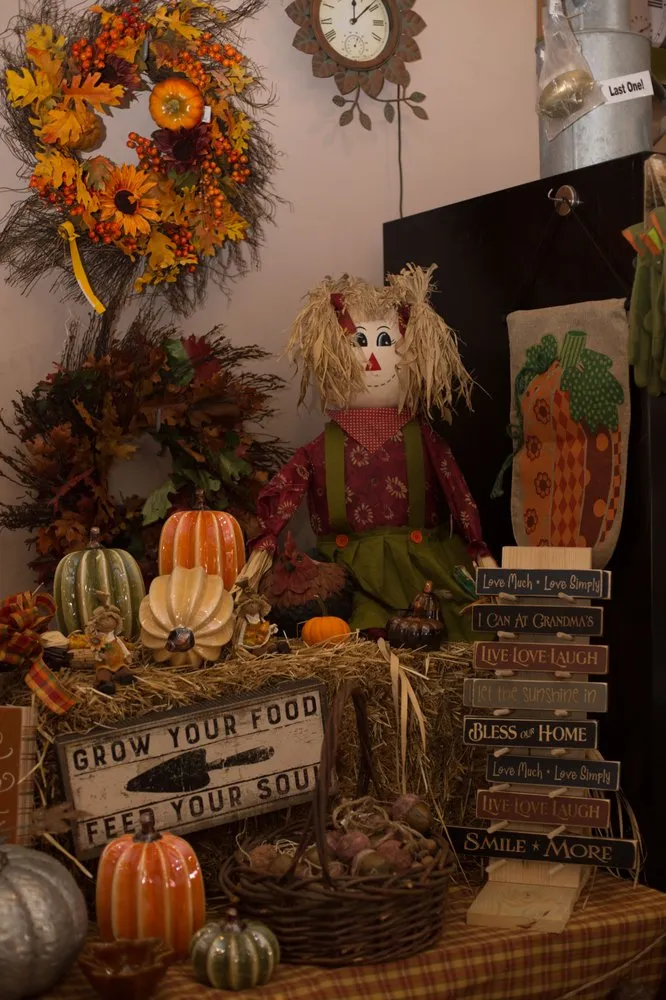 Expert yard cleanup service experts serving Pottstown, PA - Achin' Back Garden Center