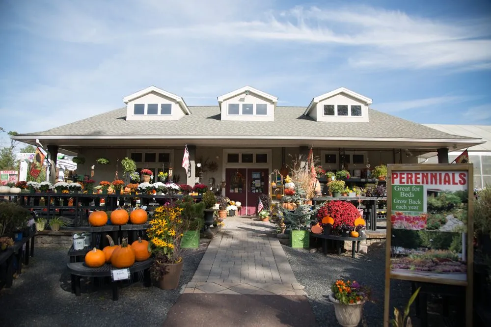 Trusted yard maintenance in Pottstown, PA by Achin' Back Garden Center