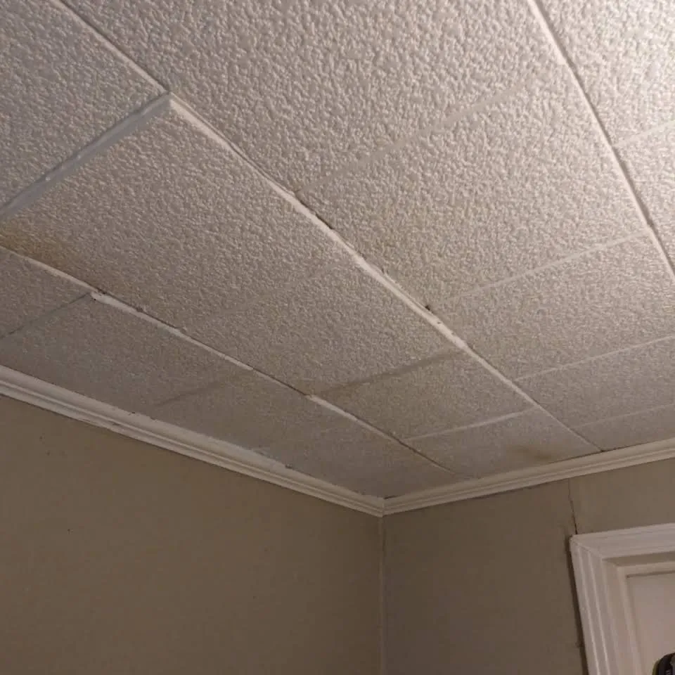 Local yard cleanup service experts serving Waco, TX - ACJ Luxury Remodeling