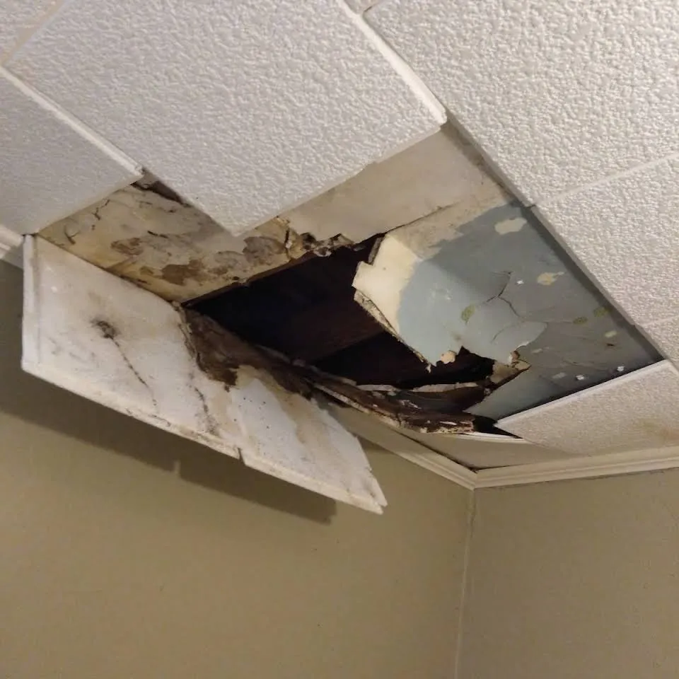 Expert landscape installation in Waco, TX by ACJ Luxury Remodeling