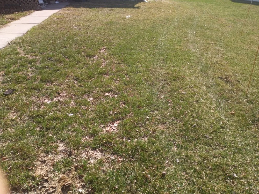 Local landscape design for year-round maintenance in Omaha, NE by Ack lawn and landscape