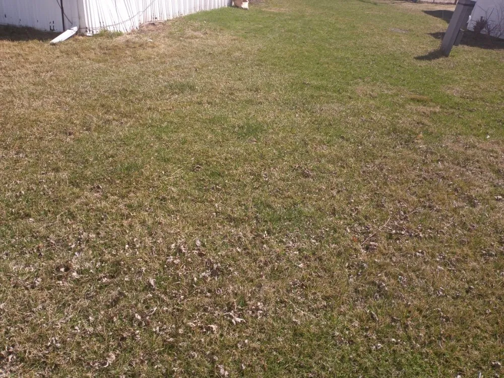 Trusted lawn care service in Omaha, NE by Ack lawn and landscape