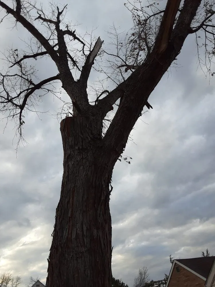 Affordable landscape design in Cedar Rapids, IA by Ackerman Enterprise