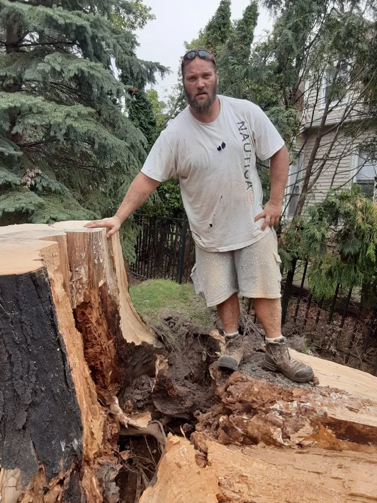 Custom landscaping services in Cedar Rapids, IA - Ackerman Enterprise