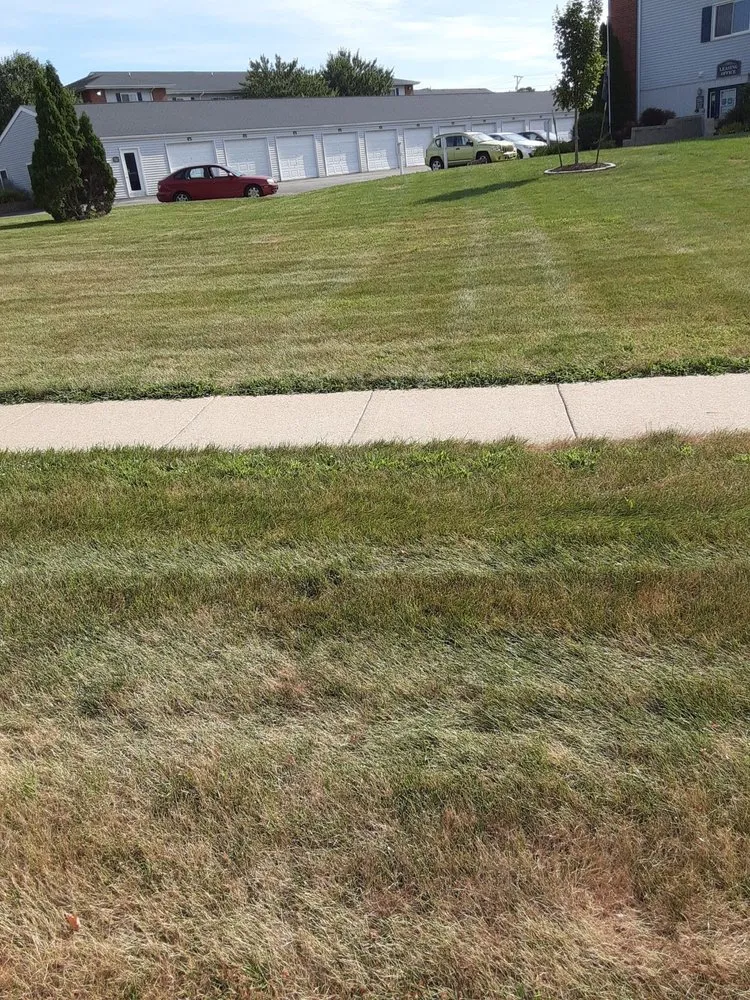 Top-rated outdoor landscaping for beautiful yards across Cedar Rapids, IA - Ackerman Enterprise