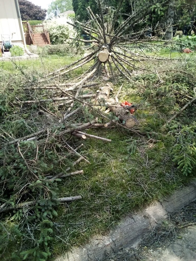 Trusted lawn mowing service for year-round maintenance across Cedar Rapids, IA - Ackerman Enterprise