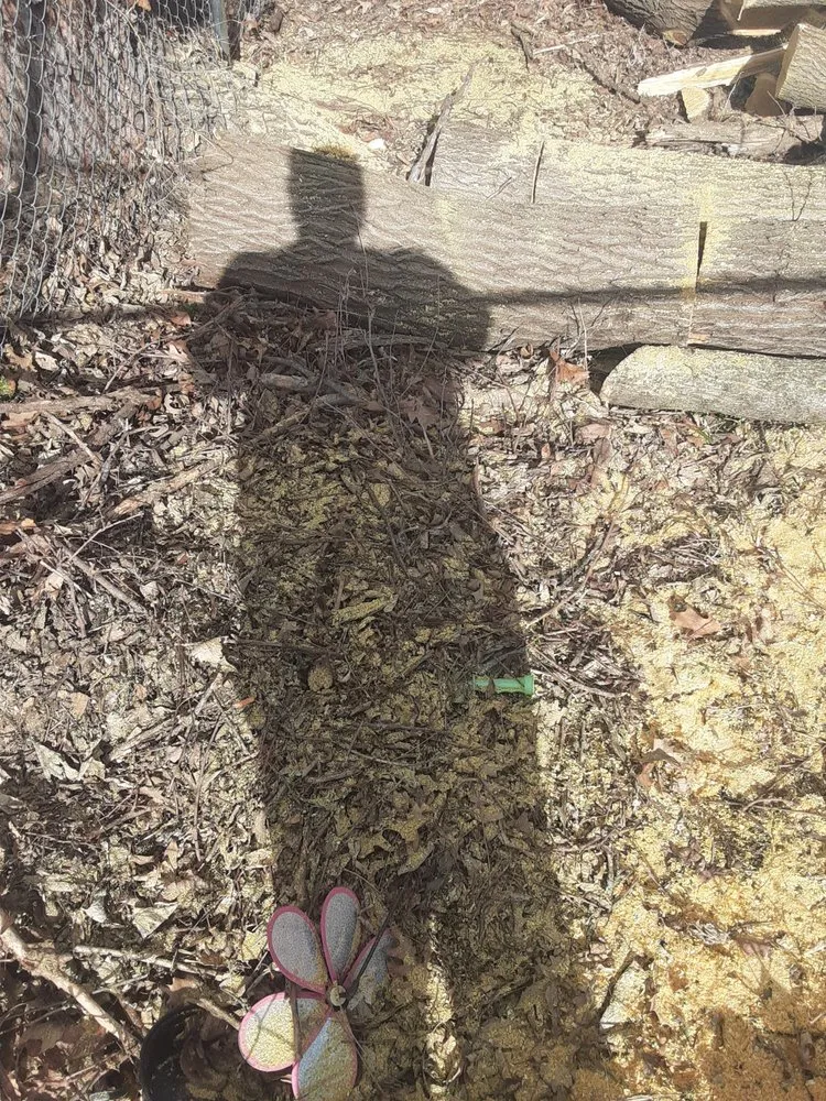 Affordable yard cleanup service with custom design in Cedar Rapids, IA by Ackerman Enterprise