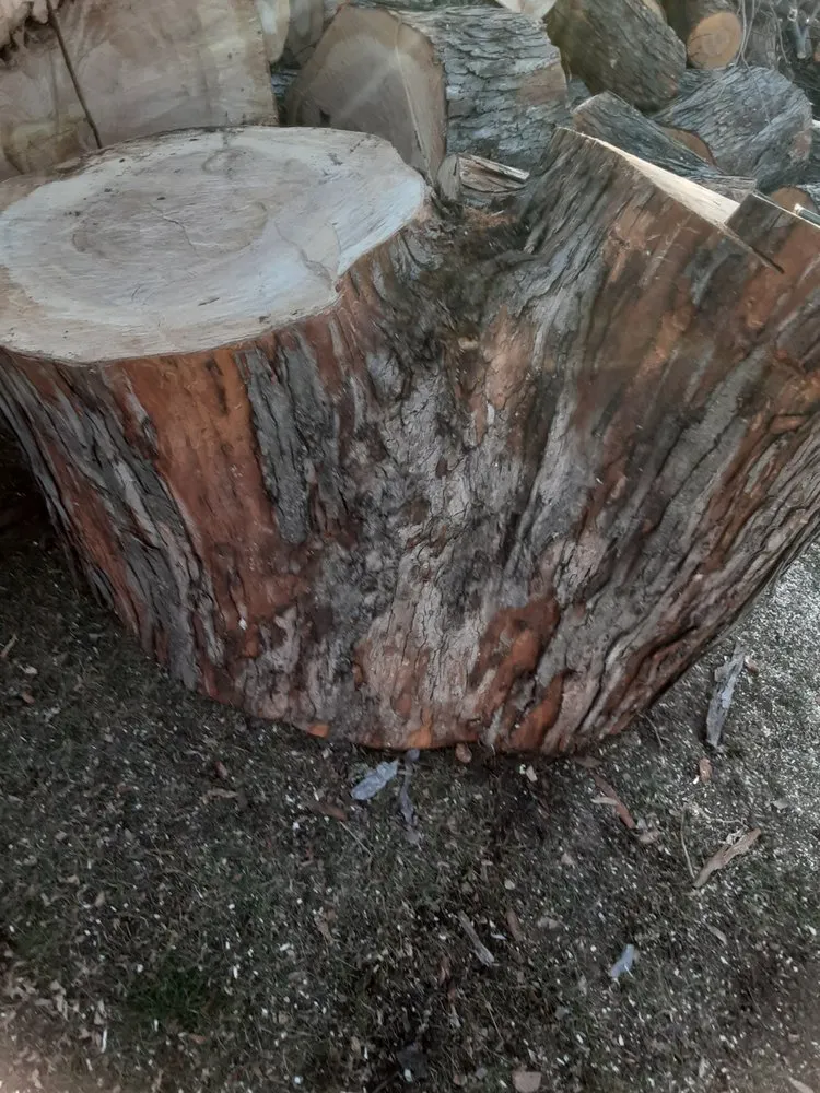 Professional outdoor landscaping for year-round maintenance across Cedar Rapids, IA - Ackerman Enterprise