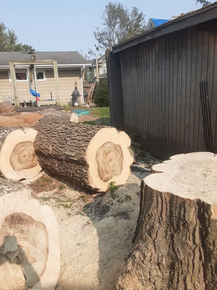 Top-rated landscaping services near you in Cedar Rapids, IA by Ackerman Enterprise