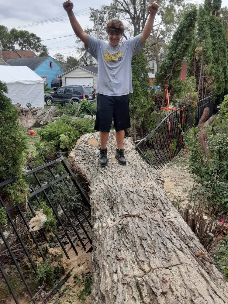 Affordable landscaping services in Cedar Rapids, IA by Ackerman Enterprise