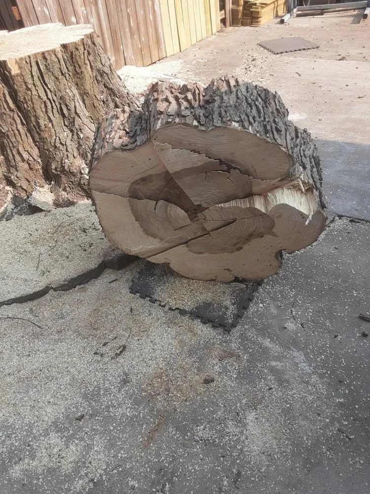 Reliable landscape installation near you in Cedar Rapids, IA by Ackerman Enterprise