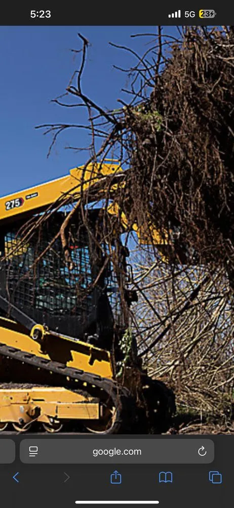Affordable yard maintenance in Wilmington, NC - Ackley Tree Specialists