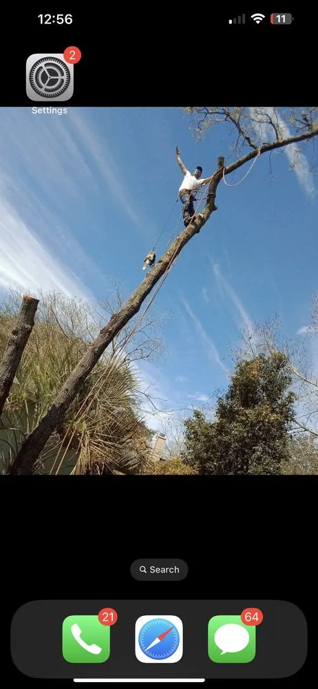 Top-rated garden landscaping for homes across Wilmington, NC - Ackley Tree Specialists