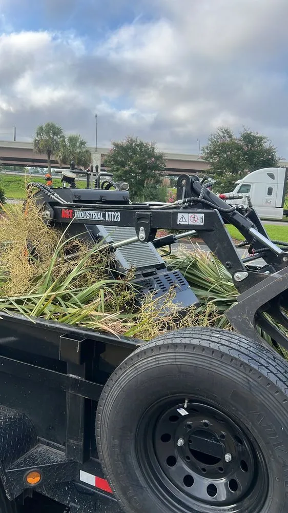 Affordable yard maintenance in Wilmington, NC by Ackley Tree Specialists