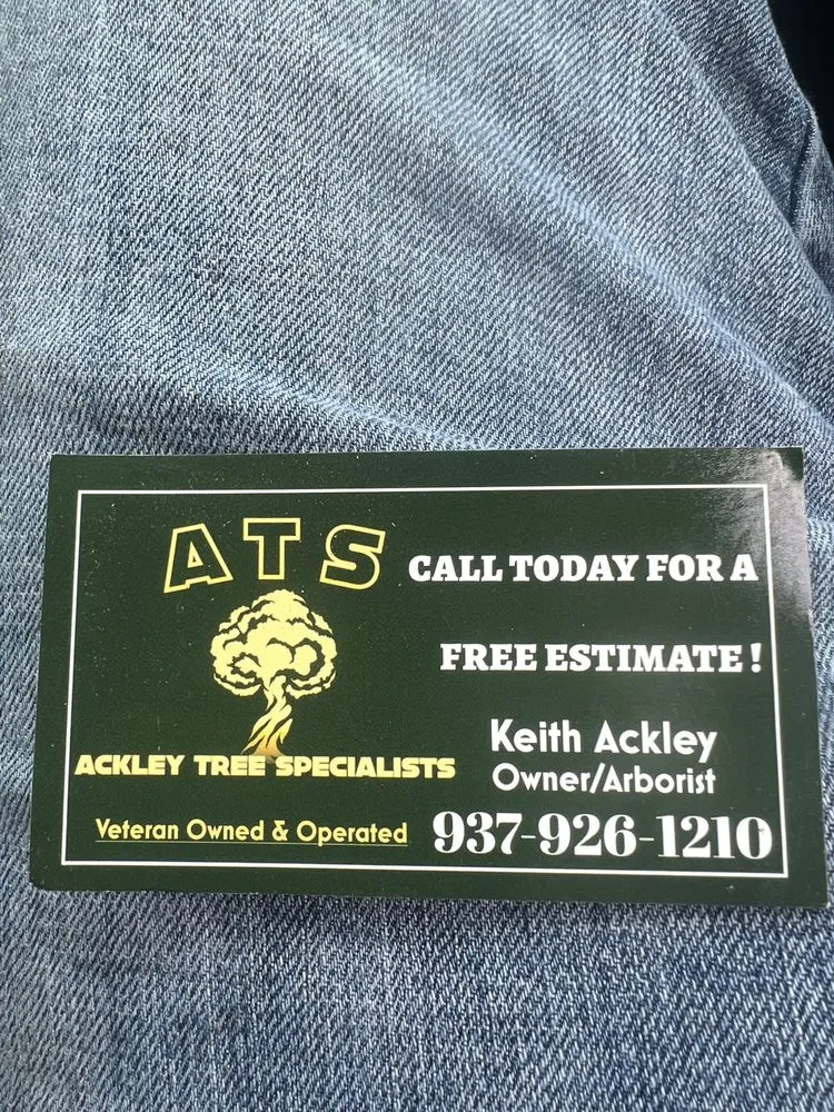 Affordable yard maintenance with custom design across Wilmington, NC - Ackley Tree Specialists