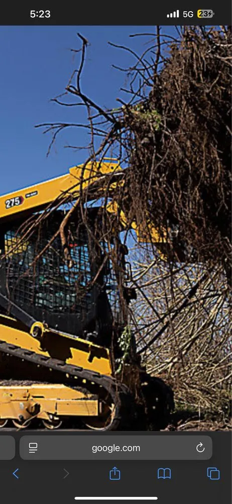 Professional landscape design for outdoor upgrades across Wilmington, NC - Ackley Tree Specialists