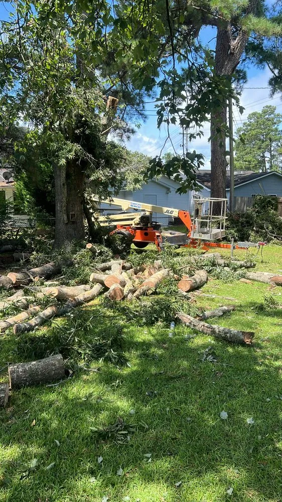 Custom lawn mowing service for year-round maintenance across Wilmington, NC - Ackley Tree Specialists