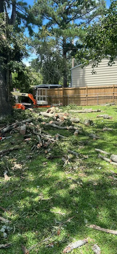 Affordable outdoor landscaping in Wilmington, NC - Ackley Tree Specialists