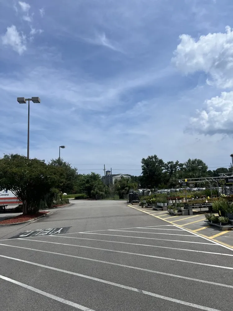 Top-rated lawn mowing service in Wilmington, NC by Ackley Tree Specialists