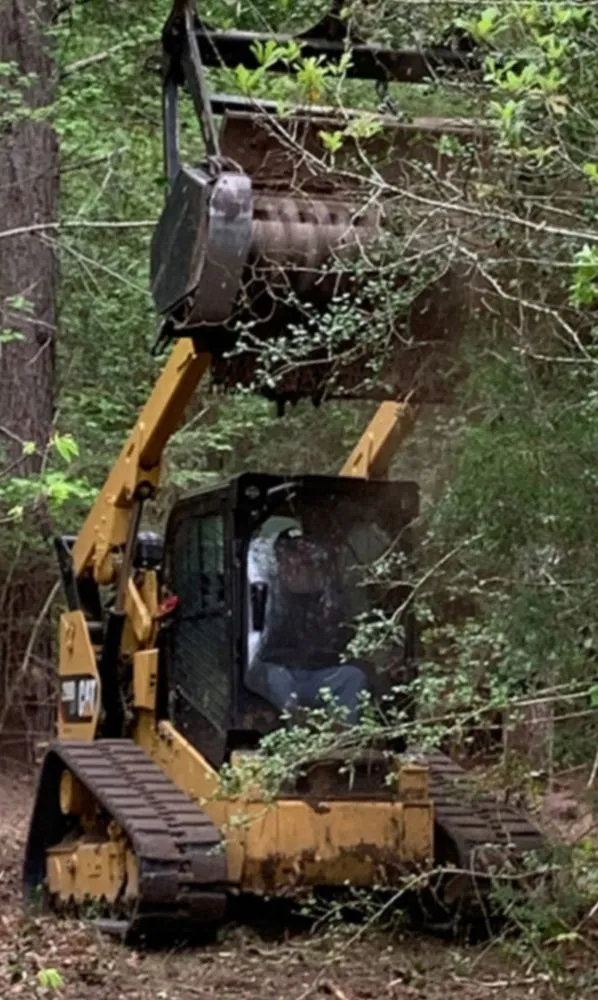 Top-rated lawn mowing service for residential properties across Wilmington, NC - Ackley Tree Specialists