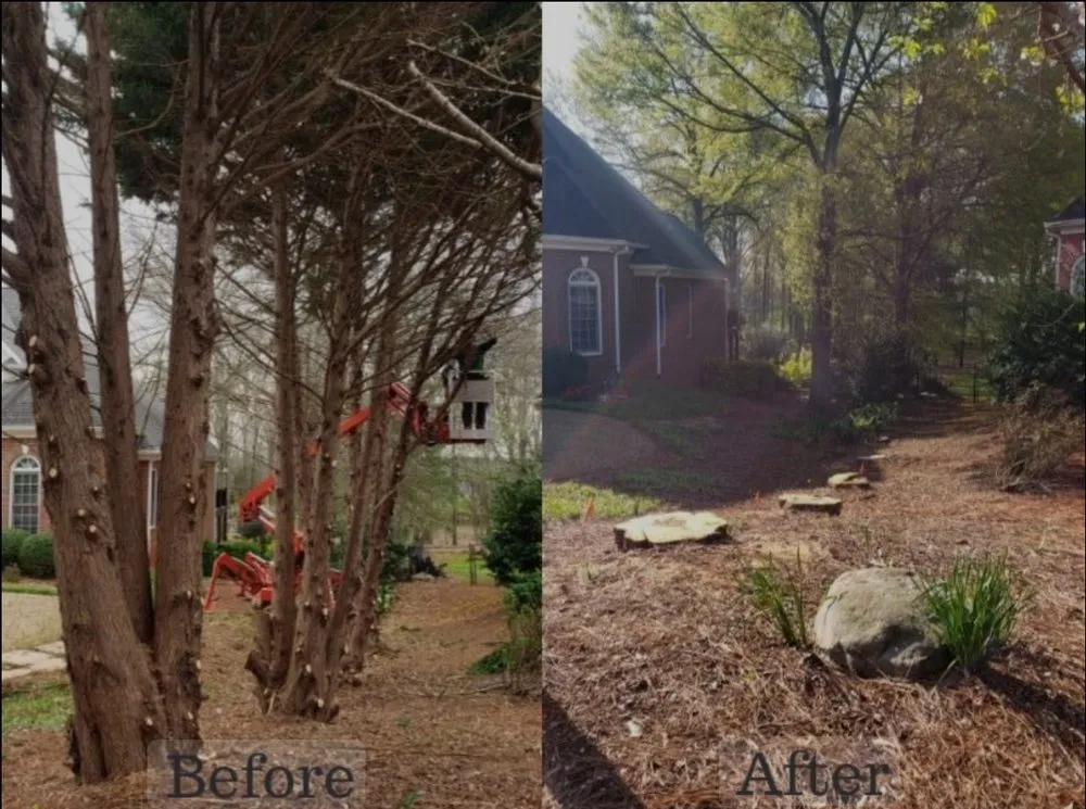 Professional landscape installation in Wilmington, NC - Ackley Tree Specialists