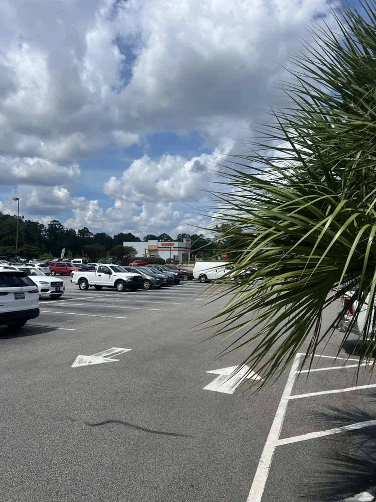 Top-rated landscape design experts serving Wilmington, NC - Ackley Tree Specialists