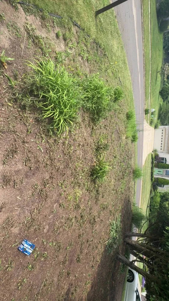 Trusted landscaping services in Lansing, MI - Ackley’s Landscaping