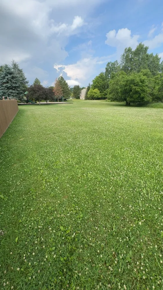 Trusted landscape design for year-round maintenance in Lansing, MI by Ackley’s Landscaping