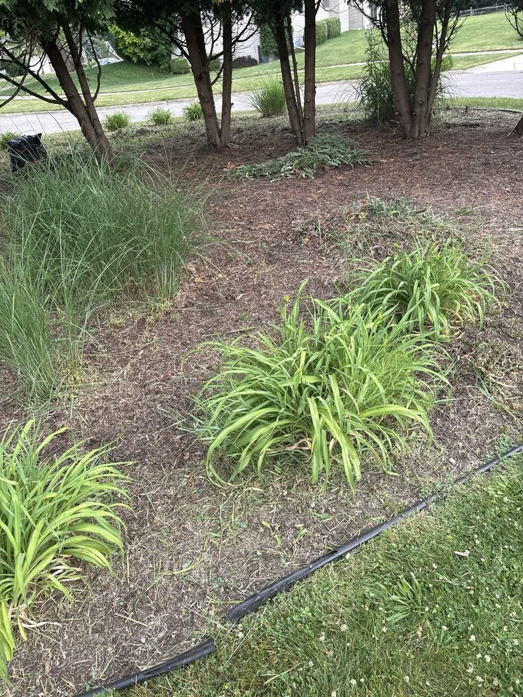 Reliable yard cleanup service in Lansing, MI - Ackley’s Landscaping