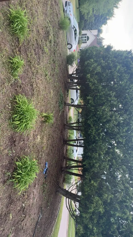 Affordable lawn care service in Lansing, MI by Ackley’s Landscaping