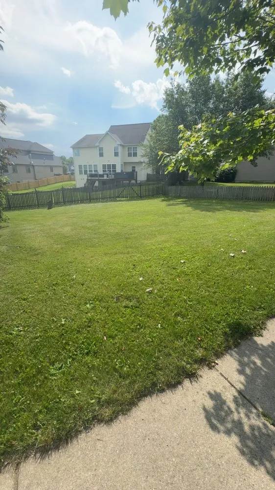 Expert lawn care service in Lansing, MI - Ackley’s Landscaping