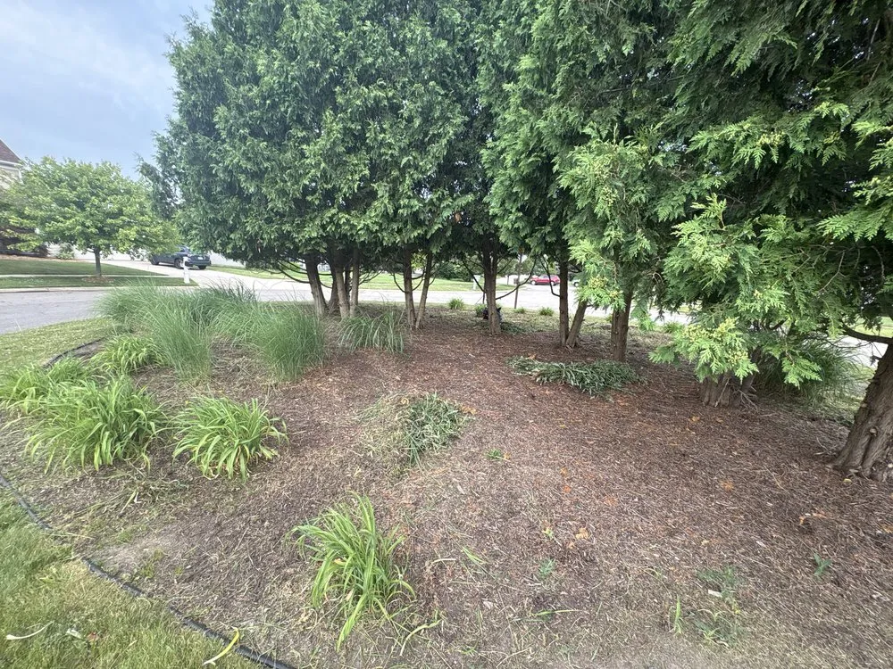 Expert landscape design for homes in Lansing, MI by Ackley’s Landscaping