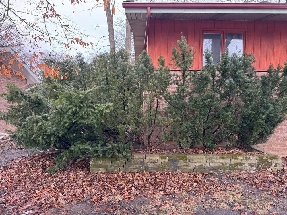 Expert garden landscaping for homes across Lansing, MI - Ackley’s Landscaping