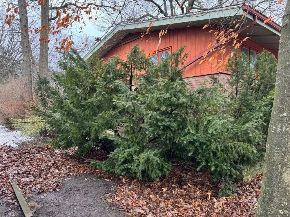 Top-rated landscape installation in Lansing, MI - Ackley’s Landscaping